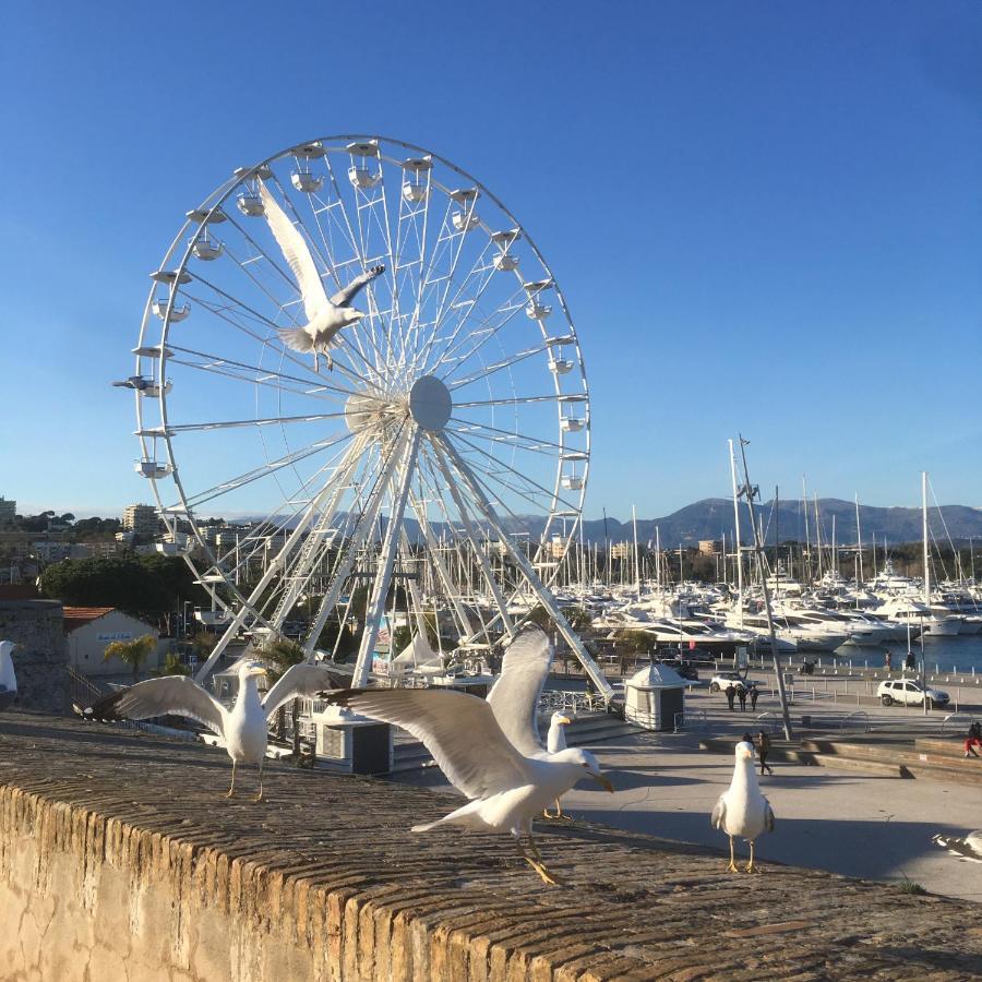 Tortue De Mer Antibes Exterior photo